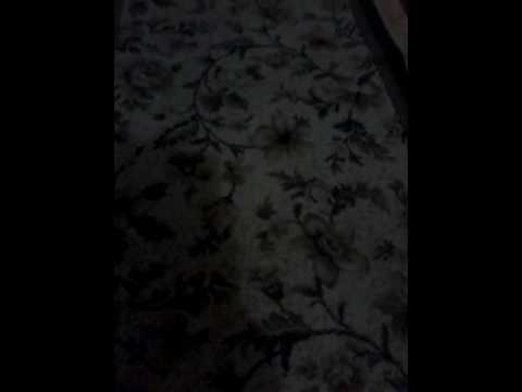 ٢٧ أبريل ٢٠١٧