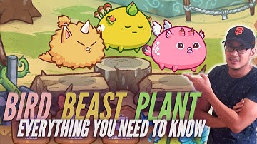 Bird, Beast, Plant Guide & Tutorial | Axie Infinity - Blockchain NFT game