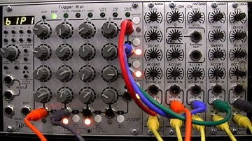 Modular Wild Presents SOUNDS-Tiptop Audio Trigger Riot- Programming Independent and Matrix Modes