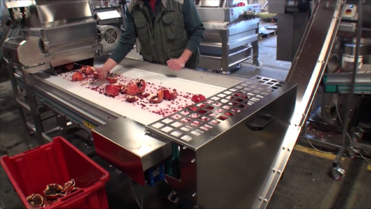 SRAML Pomegranate Juice Processing Line