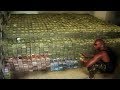 Floyd Mayweather Shows Conor McGregor How Much Money He ...