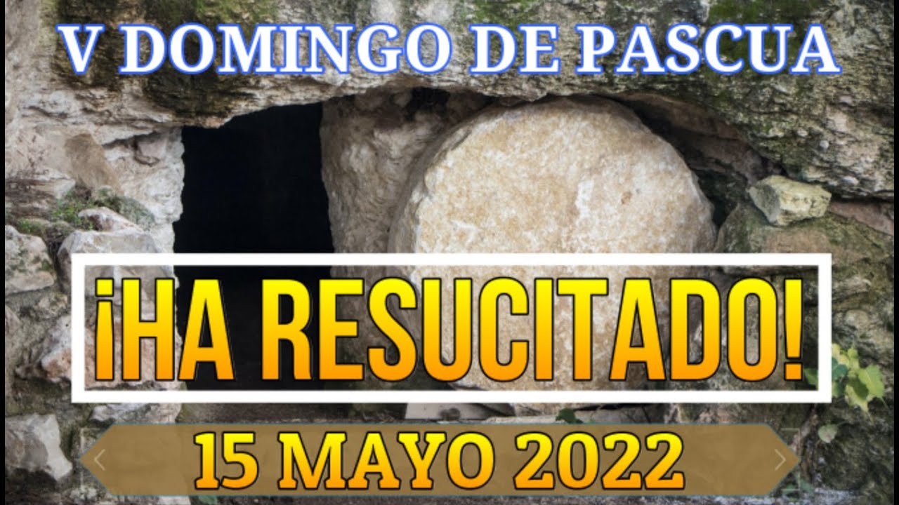 EVANGELIO de HOY 15 MAYO 2022 católico explicado YouTube