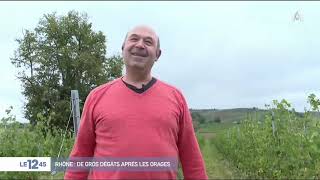 Météo : des orages de grêle font d'importants dégâts dans le Beaujolais