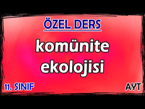 Video: Vitajte V Komunite Zelených: NC: 0: