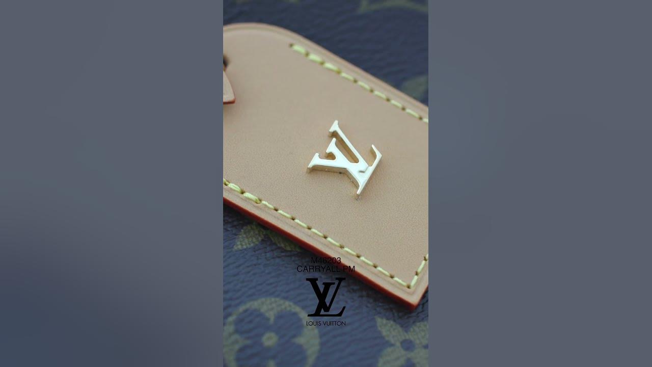 😱 LOUIS VUITTON CARRY ALL PM UNBOXING, HONEST REVIEW