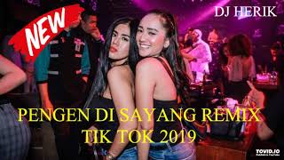 DJ PENGEN DI SAYANG TERBARU TIK TOK REMIX 2019