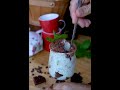 Mek mint chocolate icecream