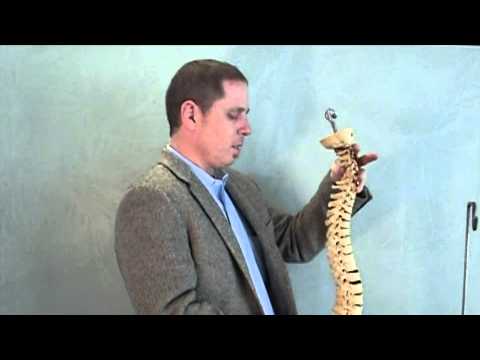Dr Jordan Plasker Micro and Macro Trauma.wmv