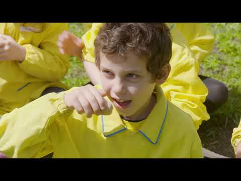 Video Prof - Milano - Imparare facendo