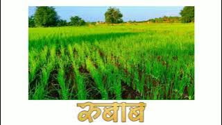 शेतकरी | OnionFarming | शेती 🌰 | Status video| Whatsapp status 🔥😎