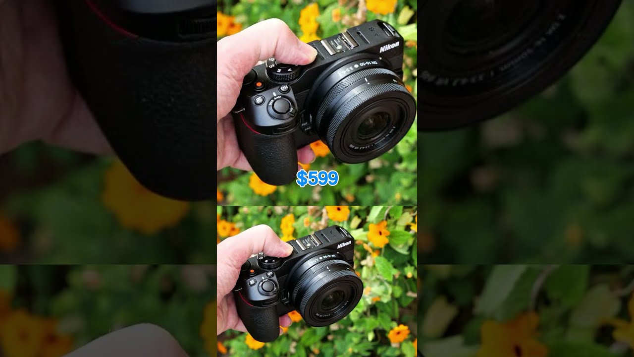 Top 5 Best Budget Cameras