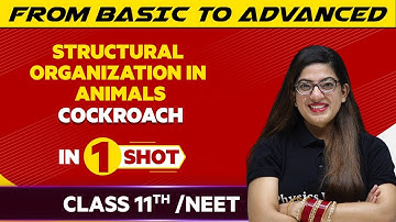 Structural Organization in Animals: Cockroach in One Shot - NEET/Class 11th Boards