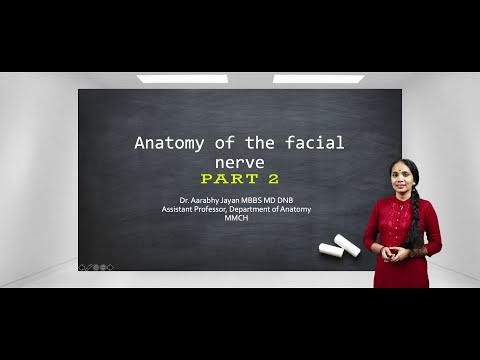 FACIAL NERVE PART
