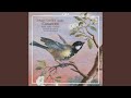Miniature de la vidéo de la chanson Concerto Per La Viola Da Gamba In A Major: I. Allegretto