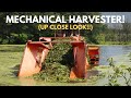 Mechanical harvesting up close lake weed removal in pond