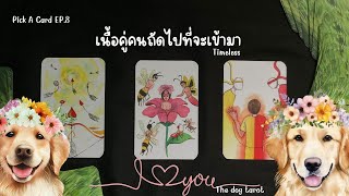 Pick A Card Ep.8 - เนื้อคู่คนถัดไปที่จะเข้ามา [ให้น้องหมาช่วยทำนาย]