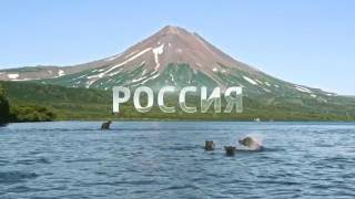 [HD] Рекламные заставки (Россия 1, лето 2016)