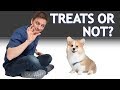 If, Why, and How You Should Use Treats When Training Your Dog