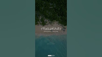 #_quran #اكسبلور #المصحف #_القرآن #حالات_واتس #holyquran #quran #تلاوة_مؤثرة