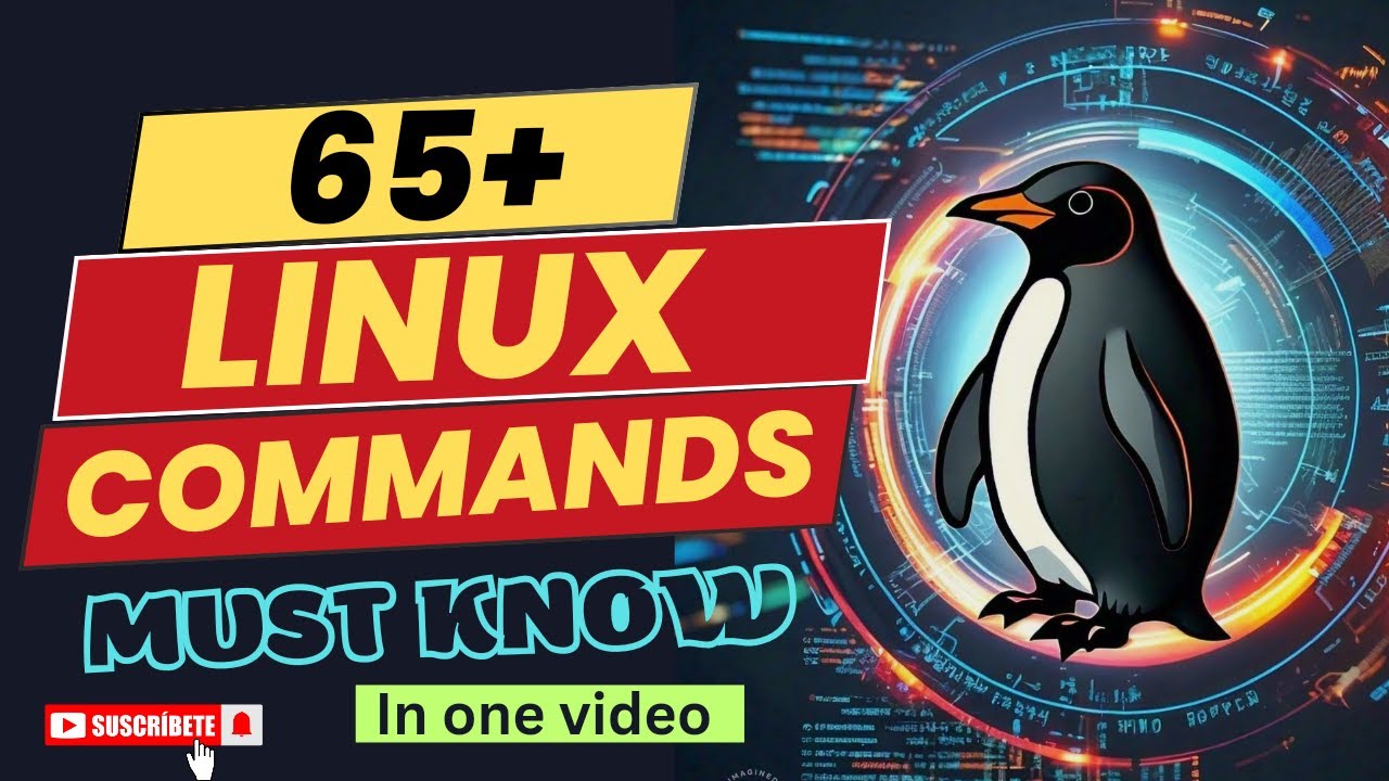 The 65 Most Popular Linux & Terminal Commands - Full Course for ...