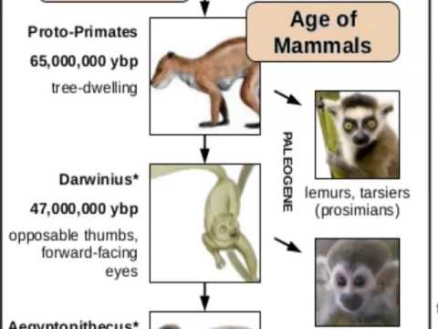 სიცოცხლის წარმოშობა დედამიწაზე