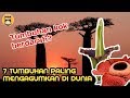 Tumbuhan Kok Berdarah?! Inilah 7 TUMBUHAN PALING MENGAGUMKAN DI DUNIA