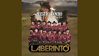 Video thumbnail of "Grupo Laberinto - El Rengo del Gallo Giro (En Vivo)"