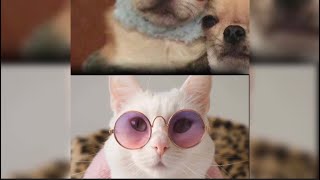 How to do soft slide (with code) video Star screenshot 2