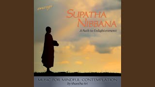 samma-samadhi-right-concentration
