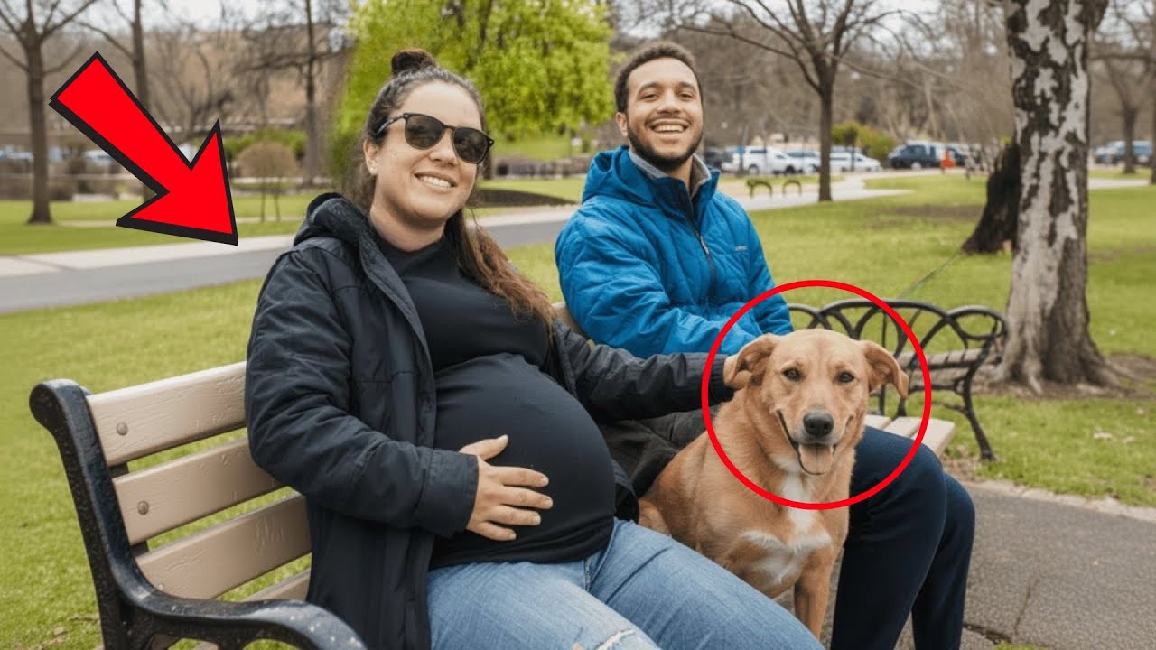 A 8 hónapos terhes feleséget holtan találták otthon – a kutya meglátta az anyóst és ugatni kezdett