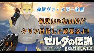 ゼルダの伝説　ブレスオブザワイルド #3