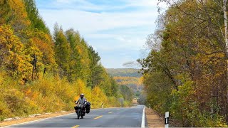 摩旅东北兴安岭，深秋骑摩托太冷冻感冒了，来到逊克县找到五星级露营地