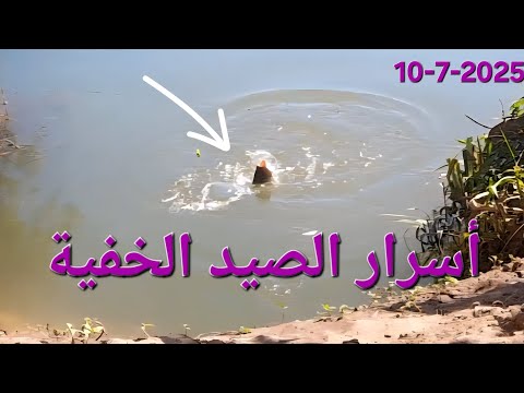 شاهد افضل مكان تاخد منه سمك متوحش