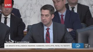 Cotton makes clarification on classification authorities, Warner rebuts on Signal chat topic Guide