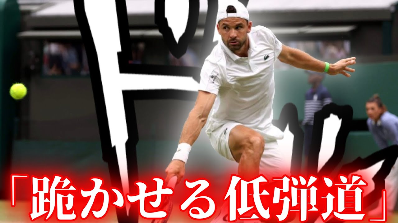 【ディミトロフから学ぶ】超低空飛行のスライスを打ちたい方はこの動画を見て下さい【プレー解説】