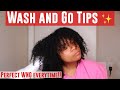 How to get a perfect Wash and Go Tips and Advice | Natural Hair