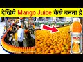 How Mango Juice made in Factory || देखिये फैक्ट्री में Mango Juice कैसे बनता है ||How it&#39;s made