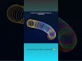 Creative 3D Spiral Animation in Pure HTML &amp; CSS!🔥 Fun With Code | #htmlcss #uidesign #coding #design