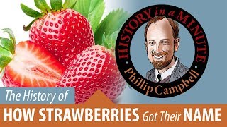 How Strawberries Got Their Names: History in a Minute (Episode 54)