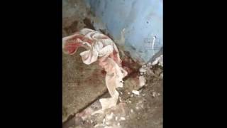 Товарково (смотреть от возраста 18+): Живодеры ЖЕСТОКО убили кота забрызгав весь подъезд его кровью! Товарково (смотреть от возраста 18+): Живодеры ЖЕСТОКО убили кота забрызгав весь подъезд его кровью!