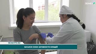 Начался сезон активности клещей