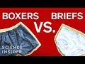 Understanding the Impact of Underwear on Male Fertility