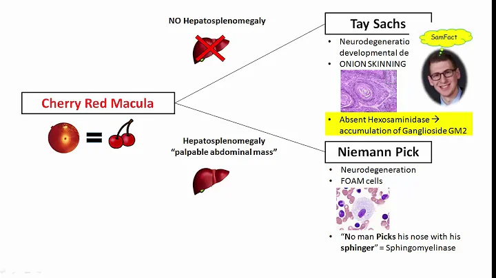 12DaysinMarch, Lysosomal Storage Disorders for USMLE Step One