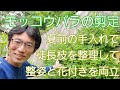 【モッコウバラの剪定】夏前の手入れで、整姿&花付きを確保🌿🌸