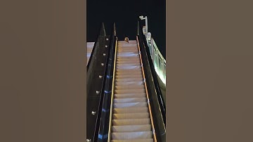 Smart Cat Operating the Lift #soulflicks