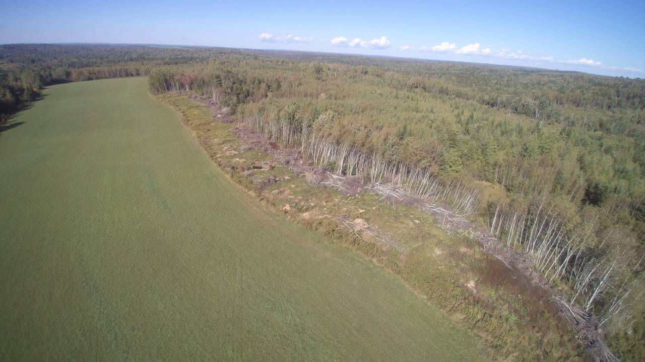 Q5004k Range test