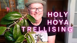 Trellising challenges, cool repots, and more great Hoya!