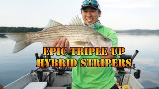 Epic Triple Hybrid Striped Bass - Fishing Spruce Run Reservoir
