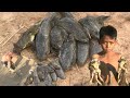 Big Frog Fish During The Dry Season- Boy Catches Frog in Mud