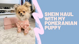 POMERANIAN PUPPY SHEIN HAUL | THE CUTEST DOG CLOTHES!